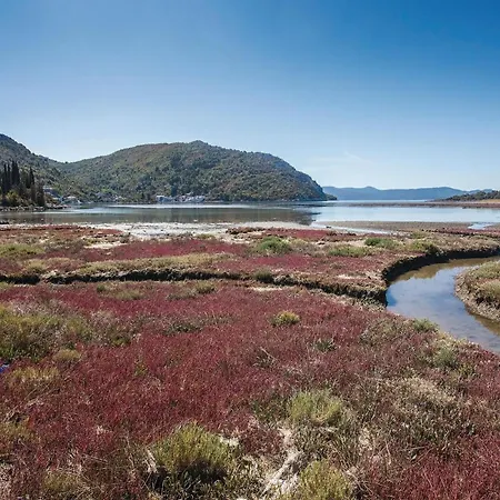 With Sea View Xiii *