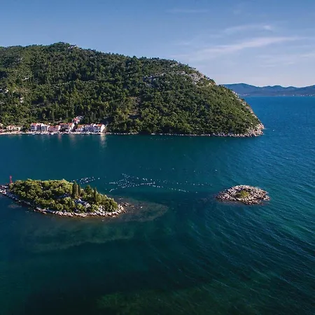 With Sea View Xiii * Blace